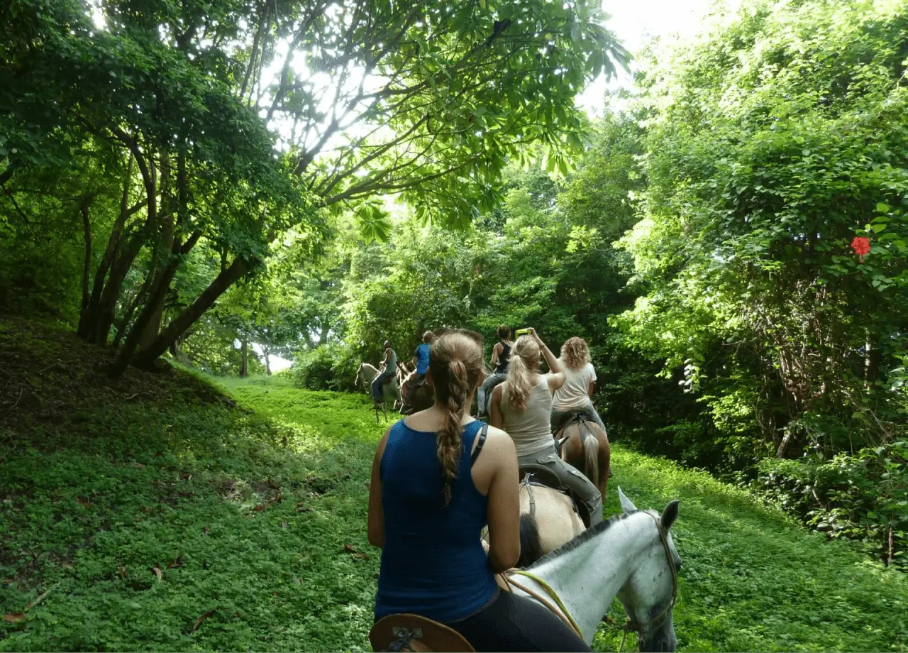 horseback riding